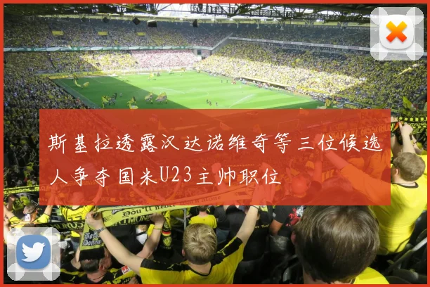 斯基拉透露汉达诺维奇等三位候选人争夺国米U23主帅职位