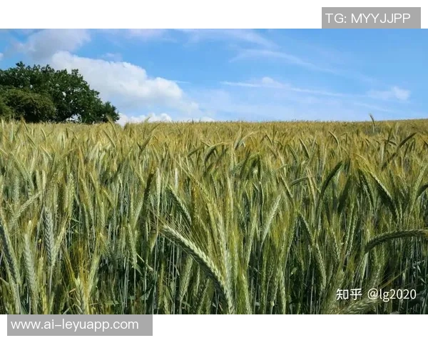 王博豪社媒感悟：痛苦是成长的必经之路答案在每个人的努力之中